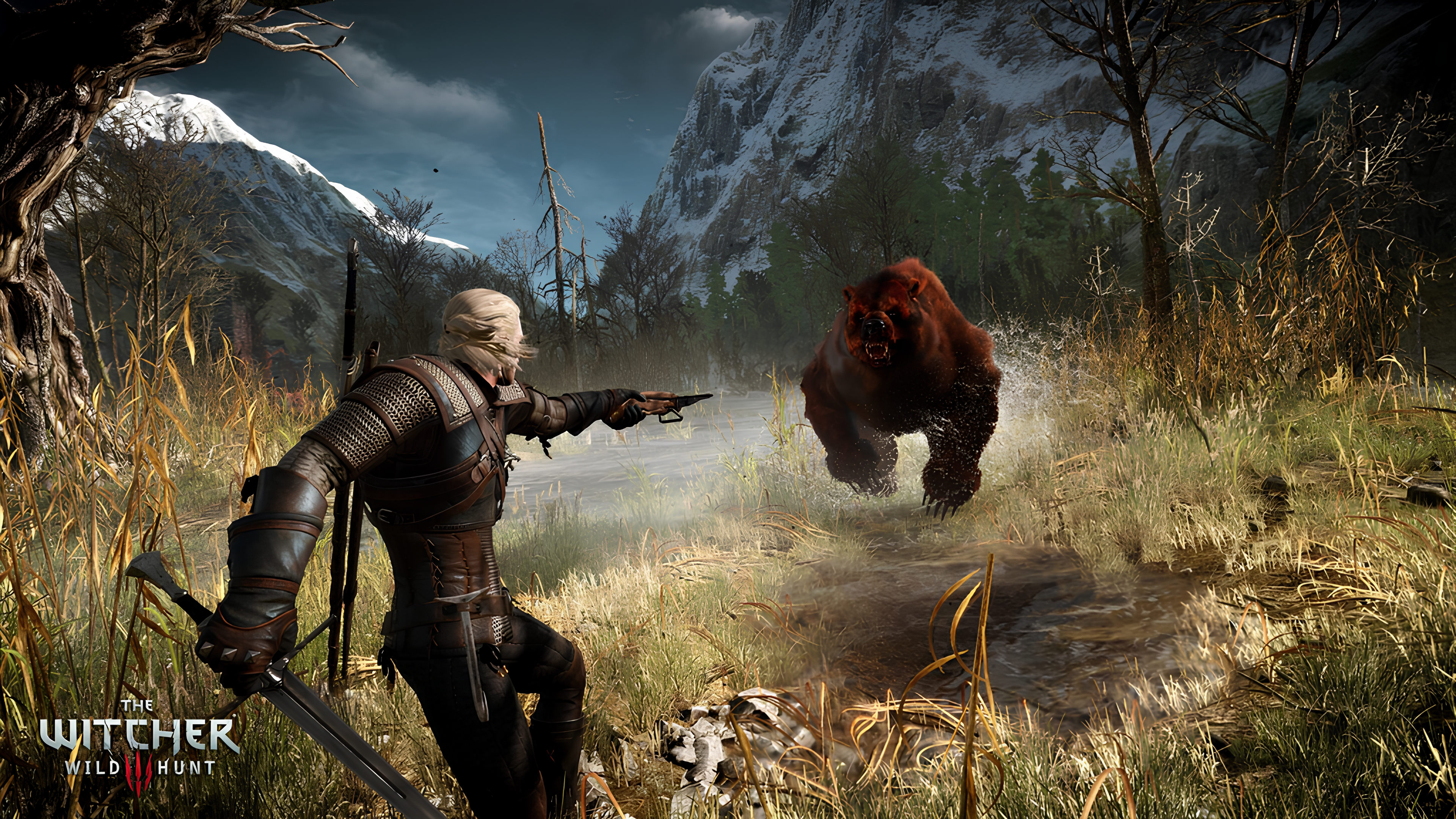 witcher3
